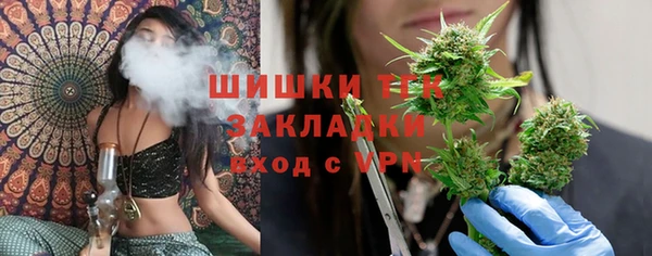 шишки Алзамай